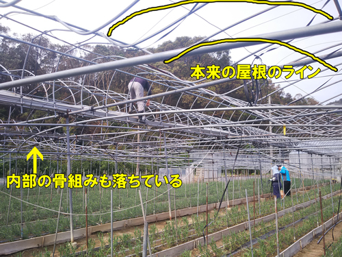 2018年台風21号,被害