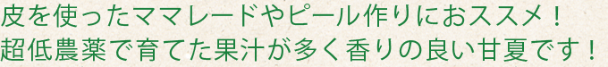 超低農薬で育てた果汁が多く香りの良い甘夏