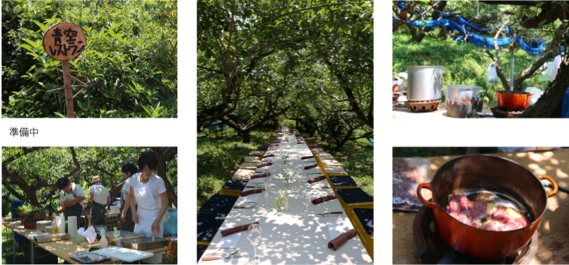 青空レストラン,farm table,大きな梅の樹の下で