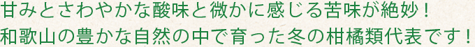 甘みとさわやかな酸味と微かに感じる苦味が絶妙