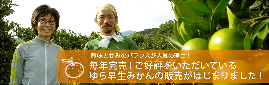 毎年完売ご好評いただいているゆら早生みかんの販売が始まりました