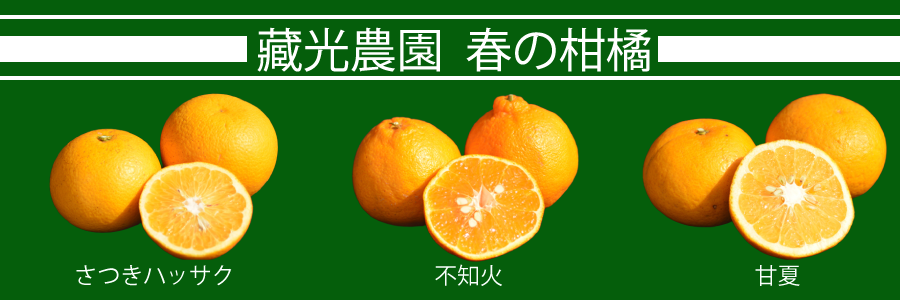 春の食べ比べ,さつきハッサク,甘夏,不知火