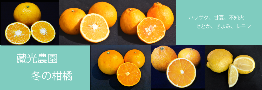 食べ比べ,トップ画像