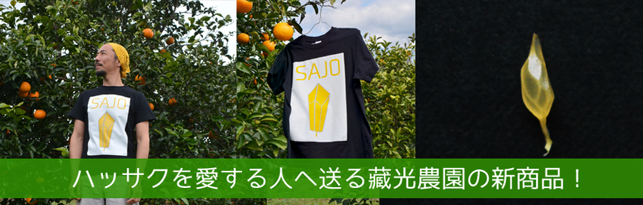 Tシャツ,ハッサク,SAJO